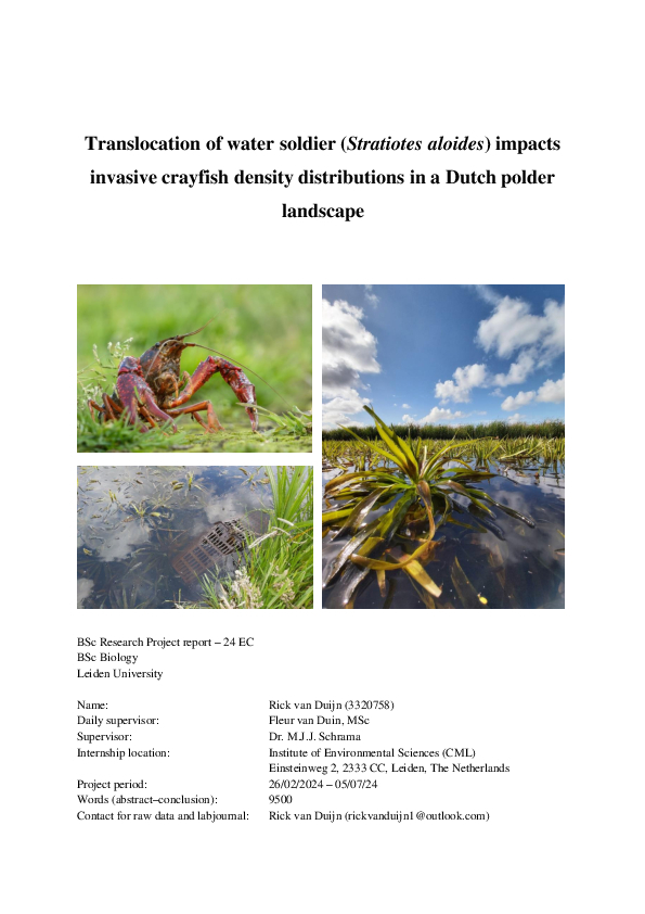 Impact of water soldier on invasive crayfish