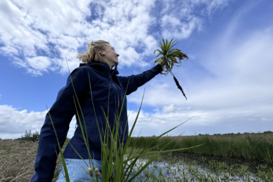 Food, the oldest design of the world