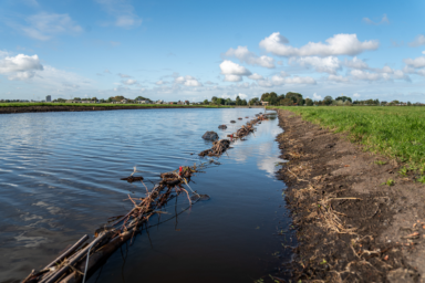 Biodiversiteit tegen rivierkreeften