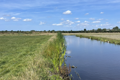 Schuine oevers tegen rivierkreeften
